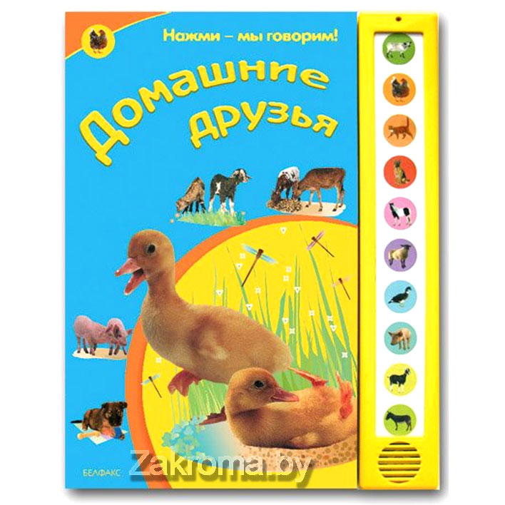 Купить Книгу Говорящий Дом